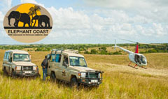 elephant_coast_mozambique