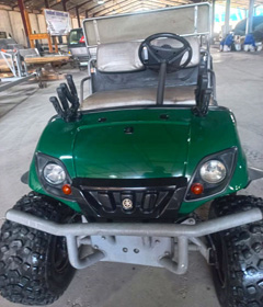 UMAX UTV for sale