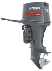 Outboards Object 2 Stroke Enduro Commercial Page Link