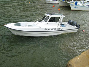 boat_w31_cuddy_built_by_yamaha_marine_service_mozambique