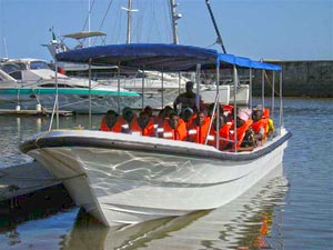 boat_ms3100_transporter_built_by_yamaha_marine_service_mozambique