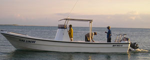 boat_yamaha_ms3100_sports_fishing_with_canopy
